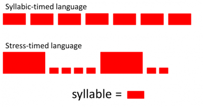 syllabic vs stress timed language